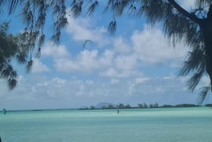 Mauritius: Private Guided Tour All Round The Island