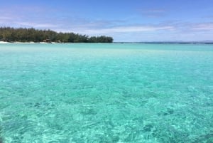 Mauritius: Private Island Tour with Chauffeur and Guide