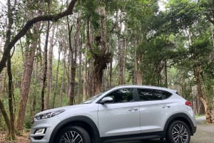 Mauritius: Tour privato dell'isola con autista/guida