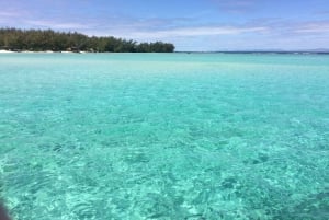 Mauritius: Tour privato dell'isola con autista/guida
