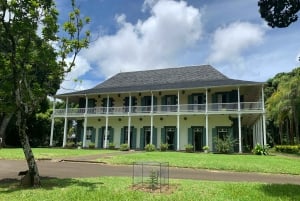 Mauritius: Tour privato dell'isola con autista/guida