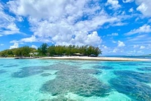 Mauritius: Private Lagoon Cruise with Snorkeling & Lunch