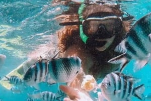 Mauritius: Private Lagoon Cruise with Snorkeling & Lunch