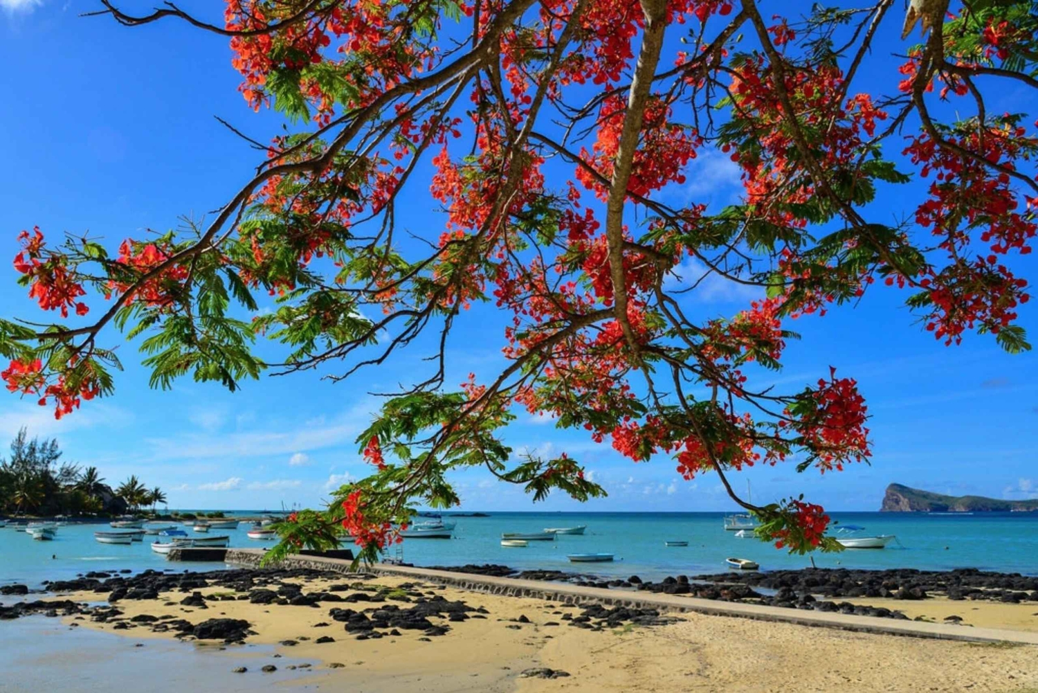 Mauritius: Private North Cultural Odyssey with Hotel Pick Up