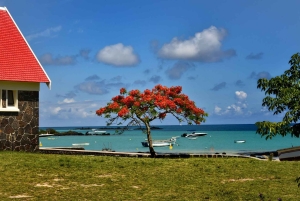 Mauritius: Private North Cultural Odyssey with Hotel Pick Up