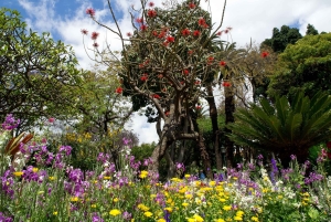 Mauritius: Private North Cultural Odyssey with Hotel Pick Up