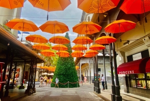 Mauritius: Private North Cultural Odyssey with Hotel Pick Up