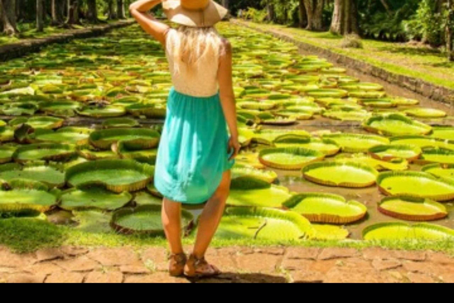 Mauritius: Private North Island Tour with Guide