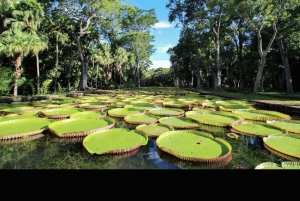 Mauritius: Private North Island Tour with Guide