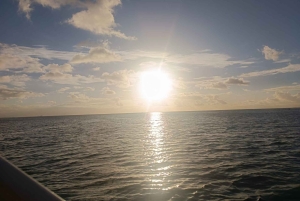 Mauritius: Private Rafale Speedboat Rental (Full Day or Half Day)