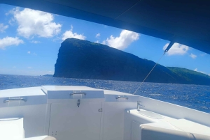 Mauritius: Private Rafale Speedboat Rental (Full Day or Half Day)
