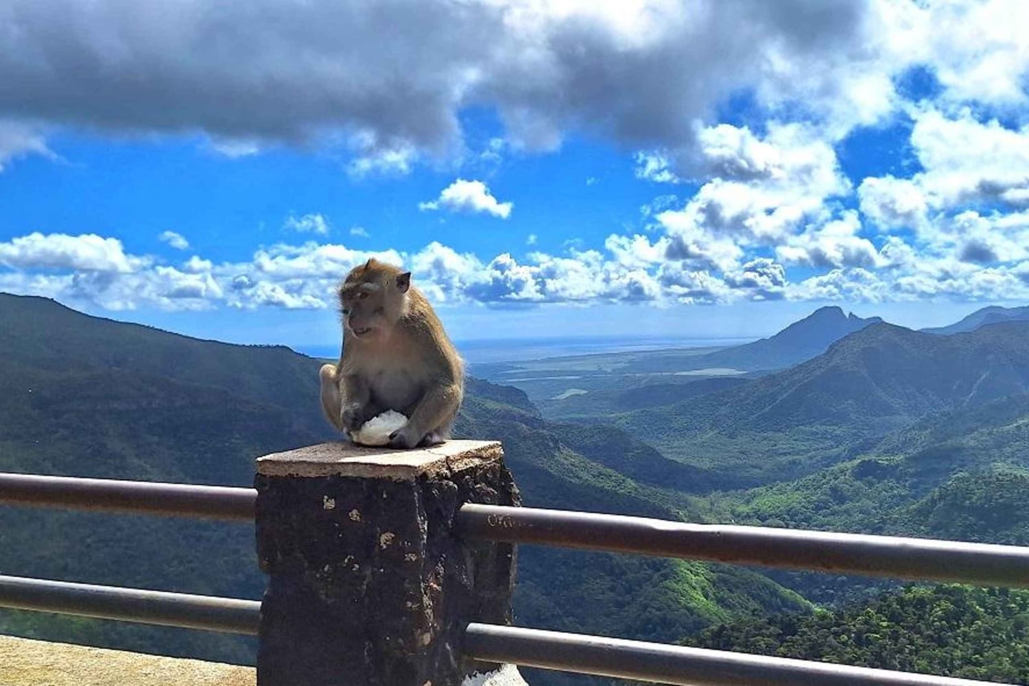 Mauritius: Private South Day Tour with Hotel Transfer