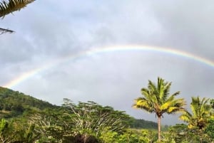 Mauritius: Prywatna wycieczka na południe z transferem do hotelu