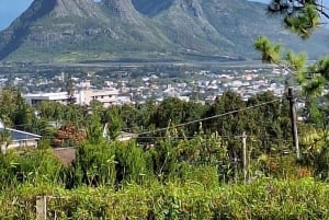 Mauritius: Prywatna wycieczka na południe z transferem do hotelu