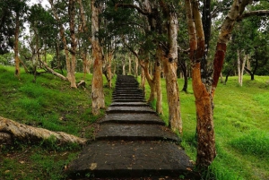 Mauritius: Prywatna wycieczka na południe z transferem do hotelu