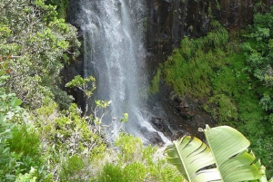 Mauritius: Prywatna wycieczka na południe z transferem do hotelu