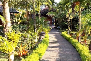 Mauritius: Prywatna wycieczka na południe z transferem do hotelu