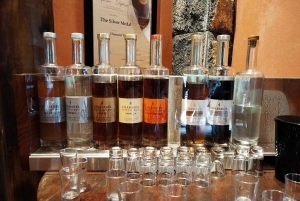 Mauritius: Prywatna wycieczka na południe z transferem do hotelu