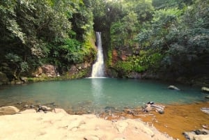 Mauritius: Private South Day Tour with Hotel Transfer