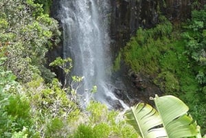 Mauritius: Private South Day Tour with Hotel Transfer