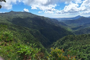 Mauritius: Private South Day Tour with Hotel Transfer