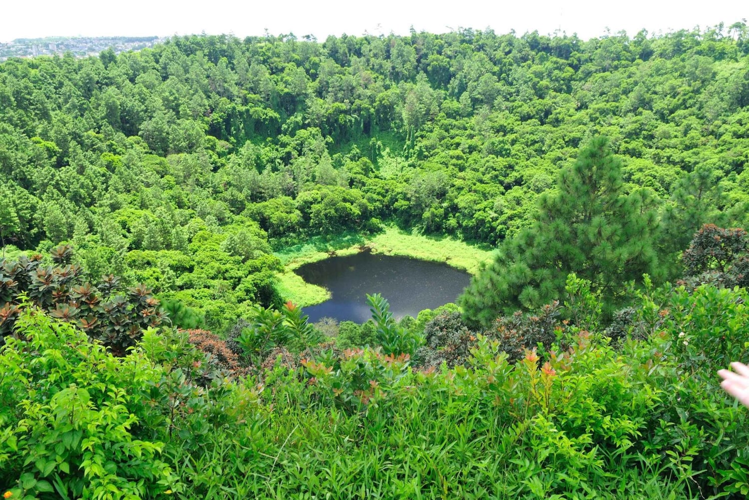Mauritius: tour privato di un giorno dell'isola meridionale