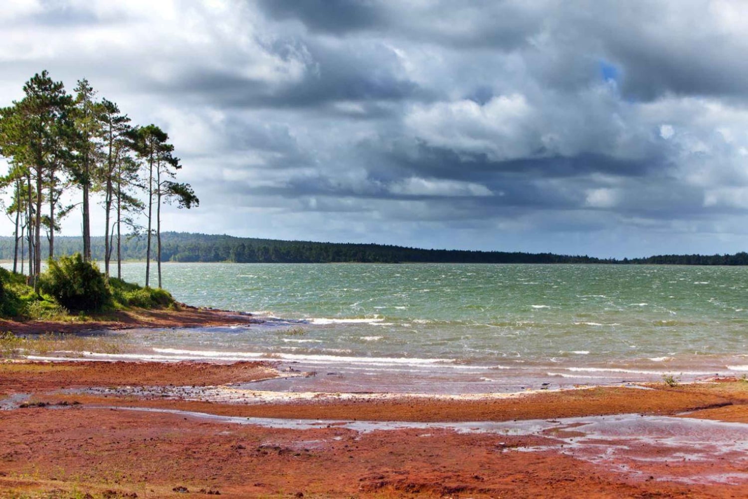 Mauritius: tour privato di un giorno dell'isola meridionale