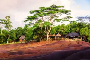 Mauritius: tour privato di un giorno dell'isola meridionale
