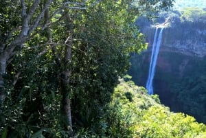 Mauritius: Private South Side and Dolphin Adventure Tour