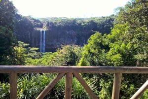 Mauritius: Private South Side and Dolphin Adventure Tour