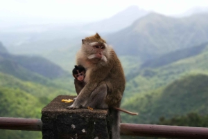 Mauritius: Private South Tour with Pickup