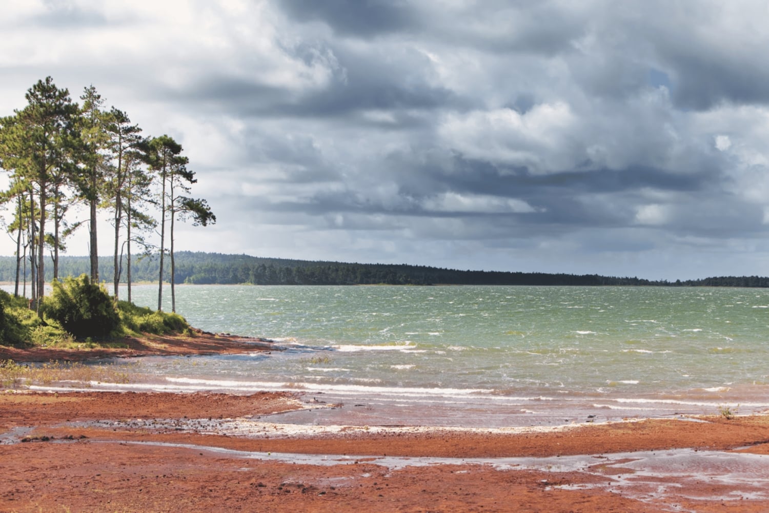 Mauritius: Vacoas, Black River Gorges, Chamouny