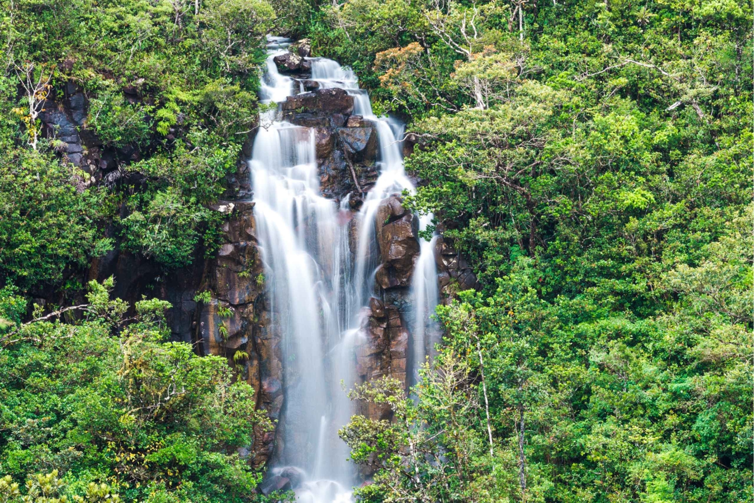 Mauritius: Vacoas, Black River Gorges, Chamouny