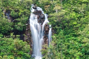 Mauritius: Vacoas, Black River Gorges, Chamouny