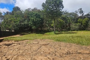 Mauritius: Private Southwest Chamarel Highlights Tour