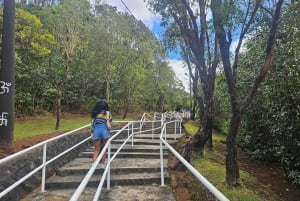 Mauritius: Private Southwest Chamarel Highlights Tour