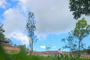 Maurice : Visite privée des points forts de la côte sud-ouest