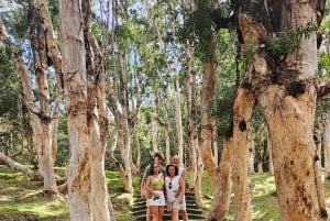 Mauritius: Private Southwest Chamarel Highlights Tour