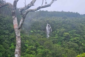 Mauritius: Private Southwest Chamarel Highlights Tour