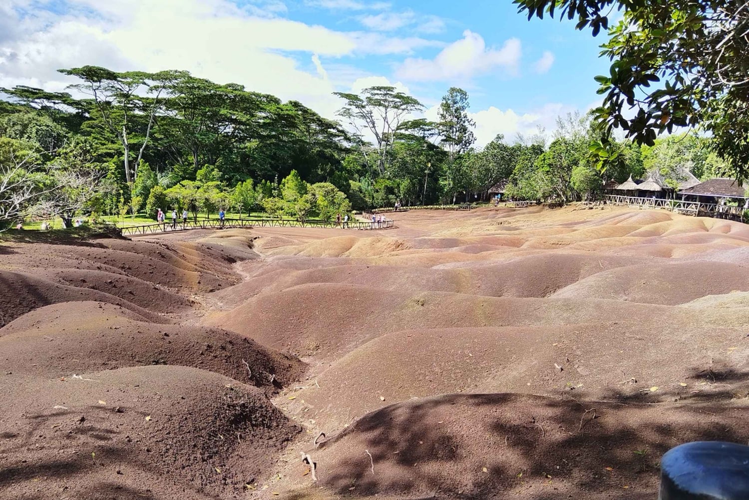 Maurice : Visite privée d'une journée dans le sud-ouest