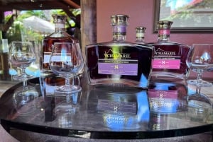 Mauritius: Privat dagstur i sørvest