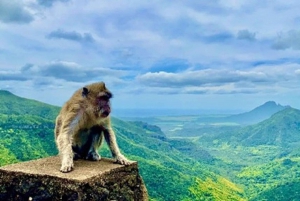 Mauritius: Privat dagstur i sørvest