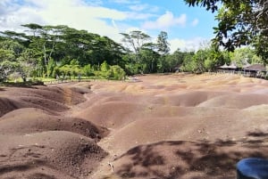 Maurice : Visite privée d'une journée dans le sud-ouest