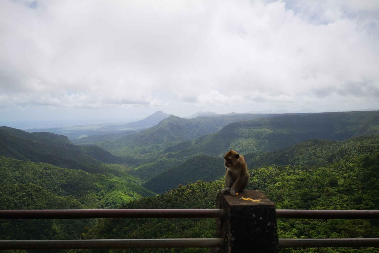 Mauritius: Tour privato a sud-ovest con prelievo