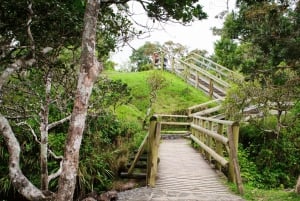 Mauritius: Tour privato a sud-ovest con prelievo