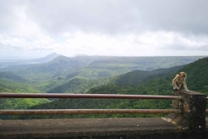 Mauritius: Tour privato a sud-ovest con prelievo