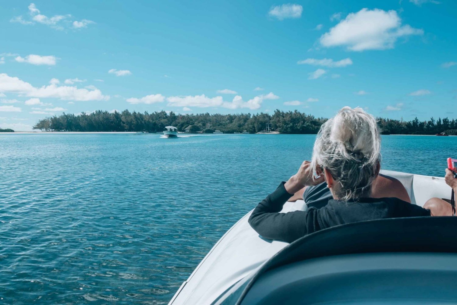Mauritius: Private Speedboat dolphin watch and Ile aux cerfs