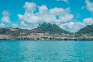 Mauritius: Private Speedboat dolphin watch and Ile aux cerfs