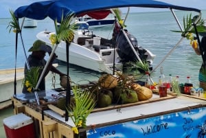 Golfinhos: Privado, Snorkel, CrystalRock, ileoBenitiers, almoço
