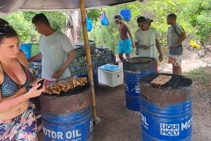 Golfinhos: Privado, Snorkel, CrystalRock, ileoBenitiers, almoço